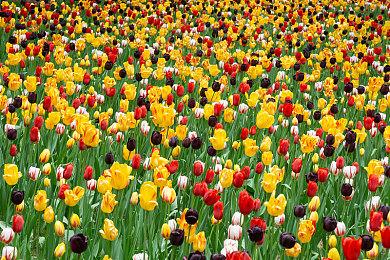 Steam新一周销量榜 Steam Deck十五连冠