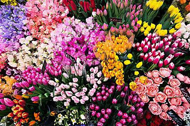 特别好评像素动作游戏《月光骑士的复仇》上市